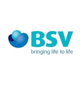 BSV logo