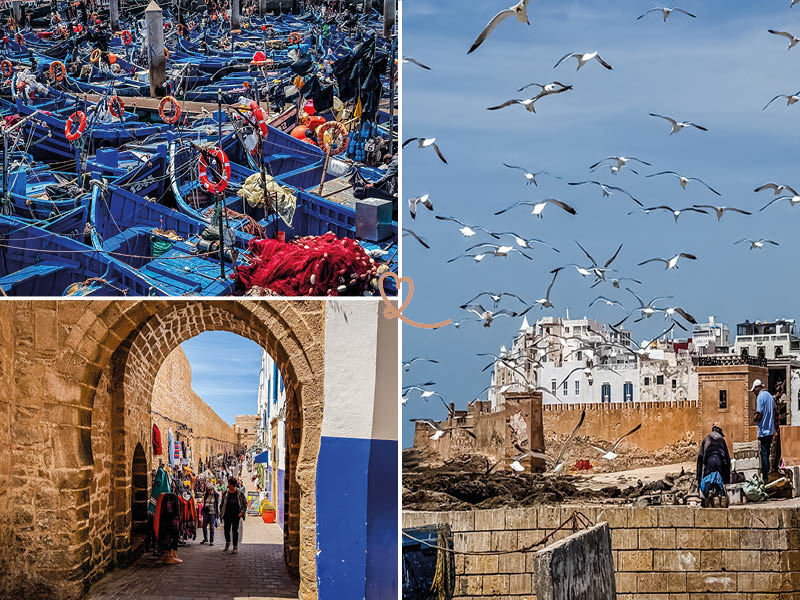 Essaouira Day Trip