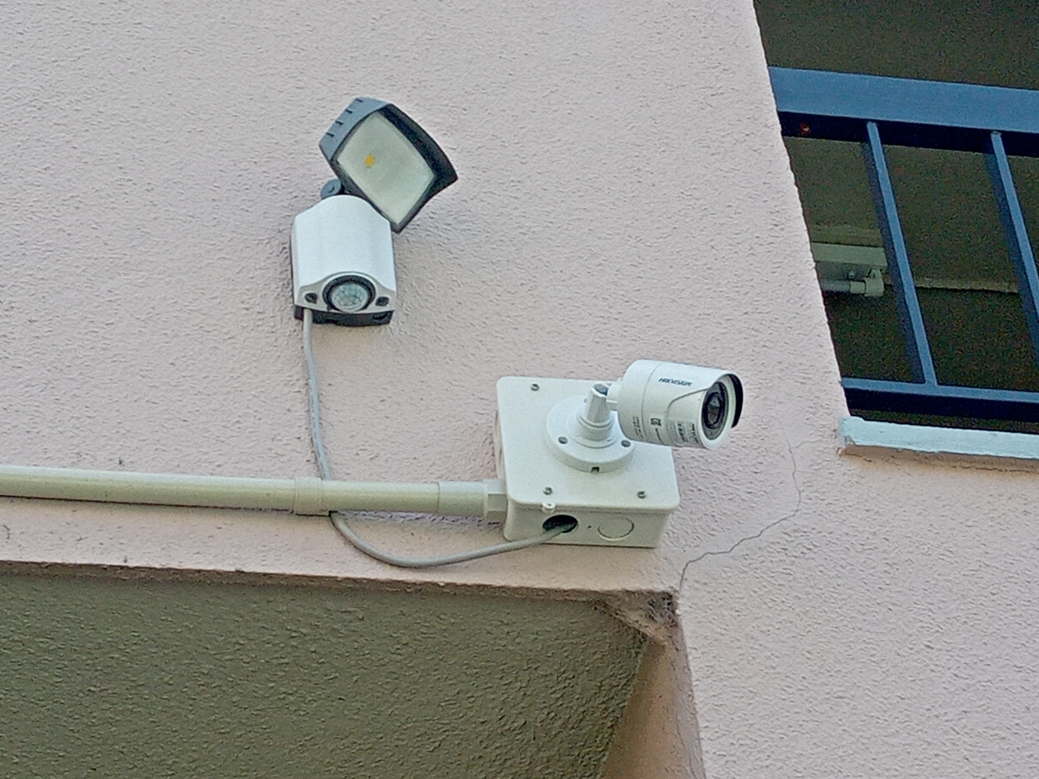 木が伸びても、死角ゼロ。