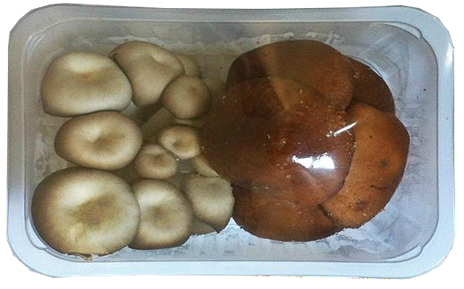 Микс Кладница и Шийтаке