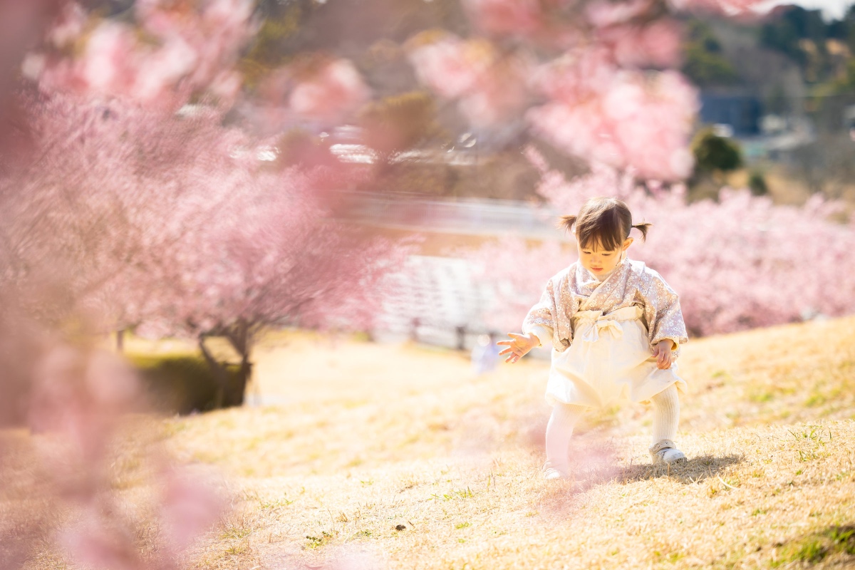 Kids Sakura
