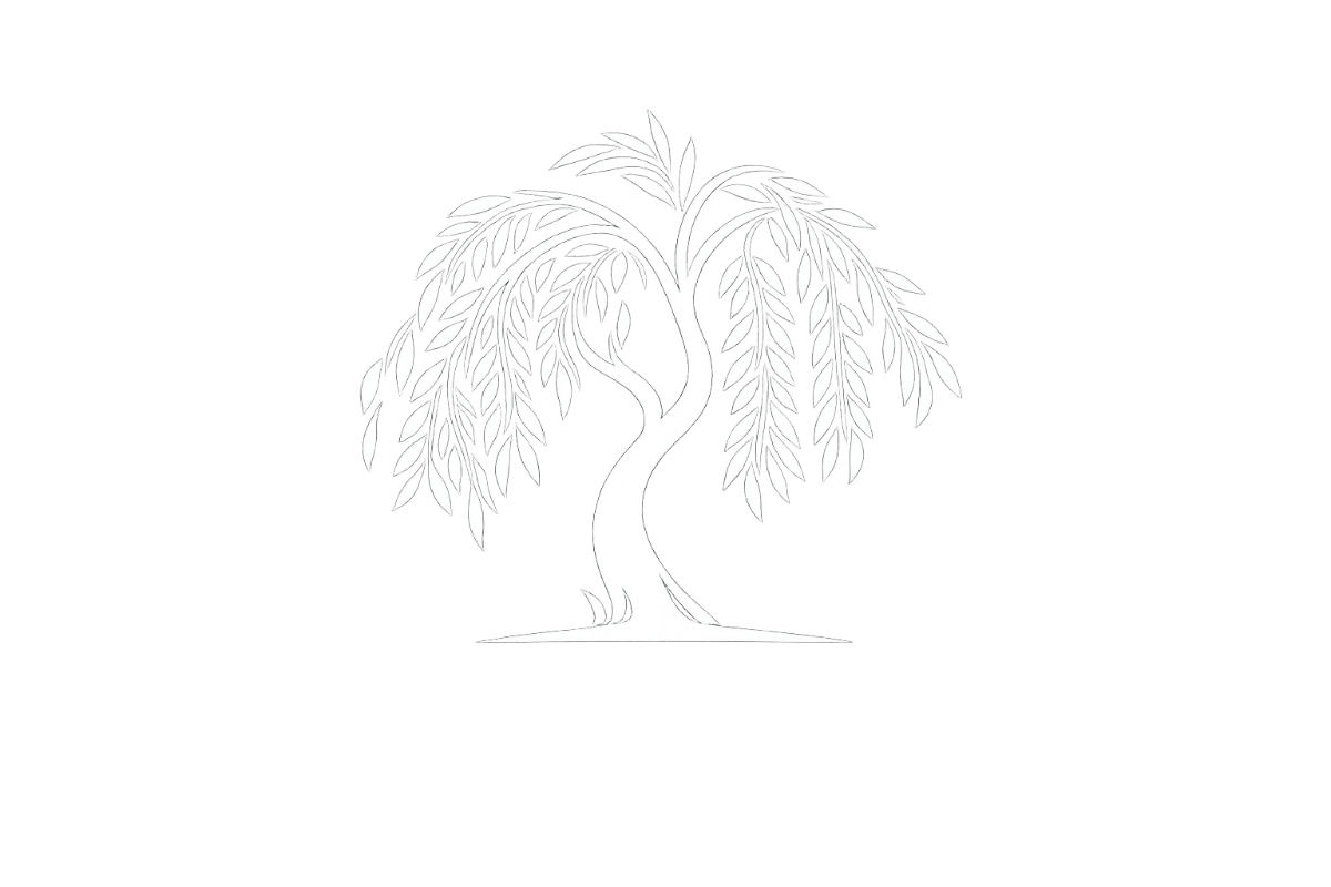 Willow Angelica Foundation Logo