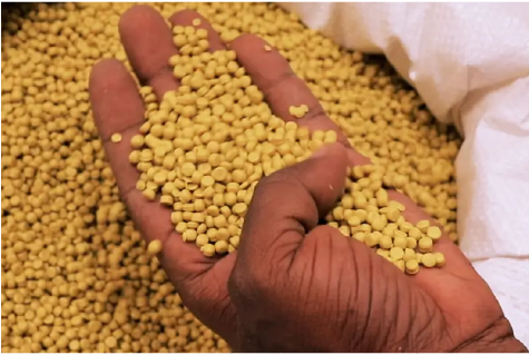 Contact Platinum Partners team