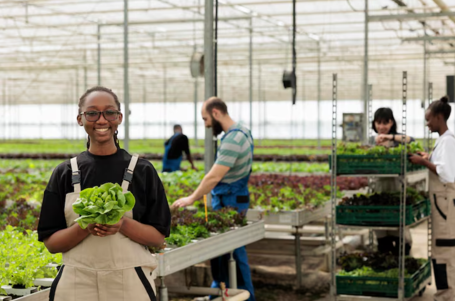 Get Involved in Farming