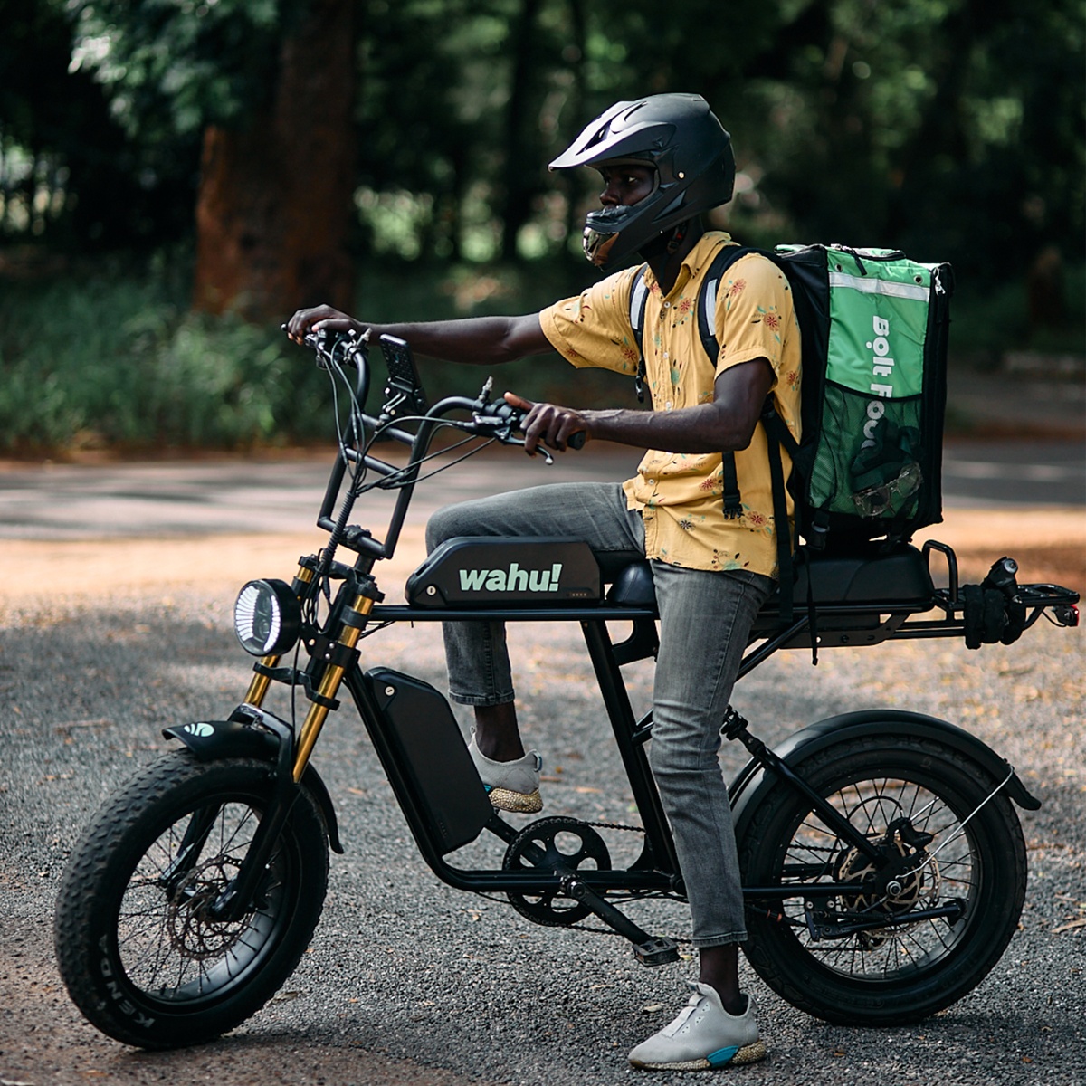 Wahu eBike - Main View