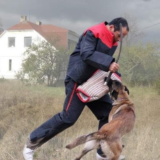 קורס אוסטריה