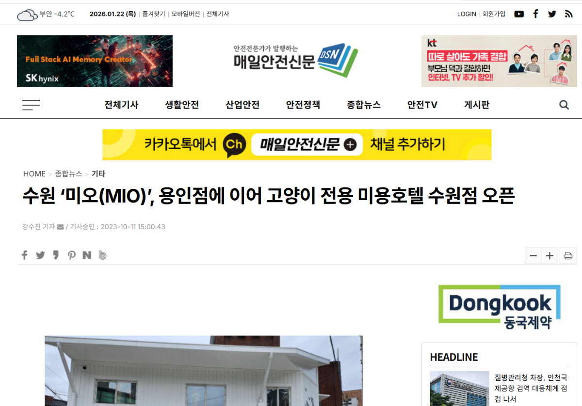 수원 '미오(MIO)', 용인점에 이어 고양이 전용 미용호텔 수원점 오픈