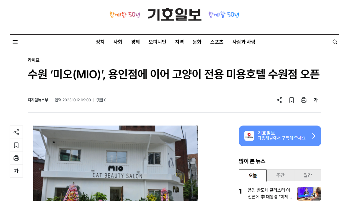 수원 '미오(MIO)', 용인점에 이어 고양이 전용 미용호텔 수원점 오픈