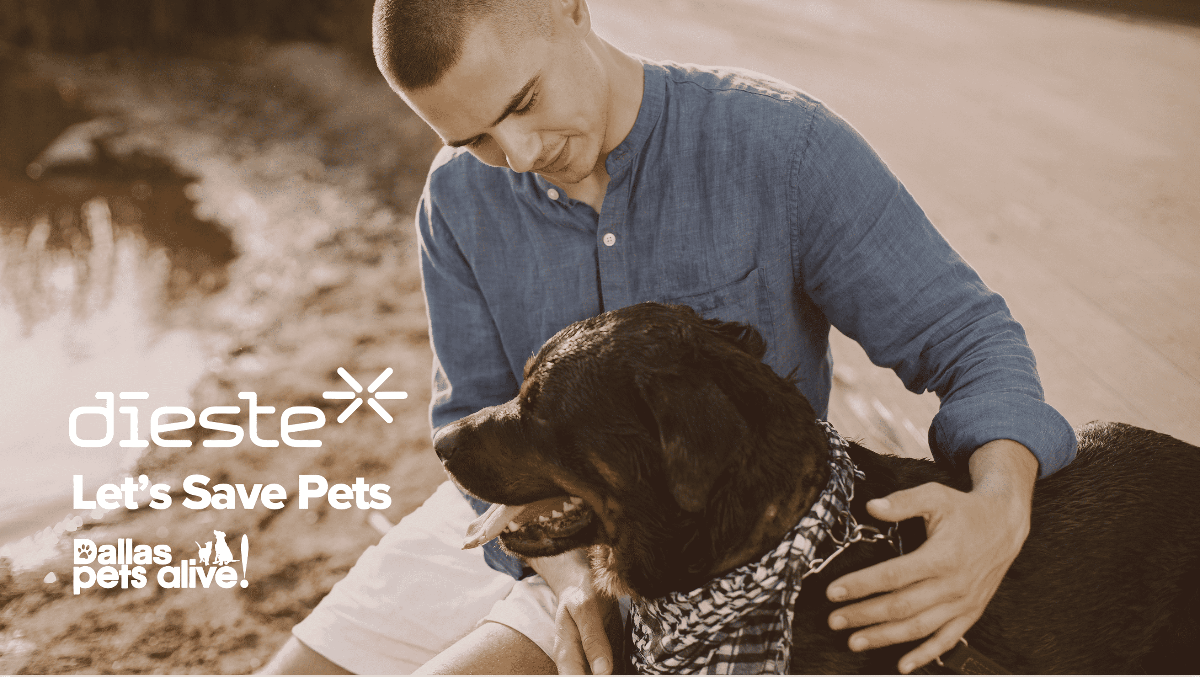 Dallas Pets Alive 2024 Dieste Pitch
