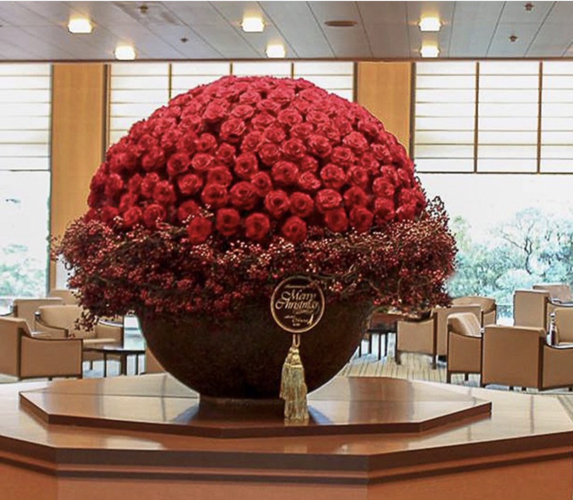 AMOROSA プリザーブドローズ 花弁テクスチャ
