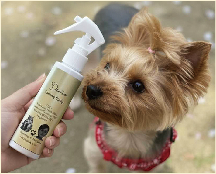 ヨークシャテリア