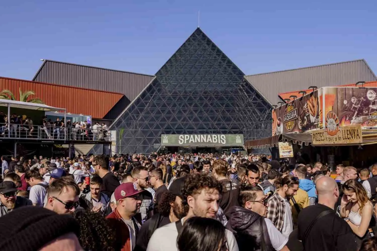 Cannabis Culture Festival