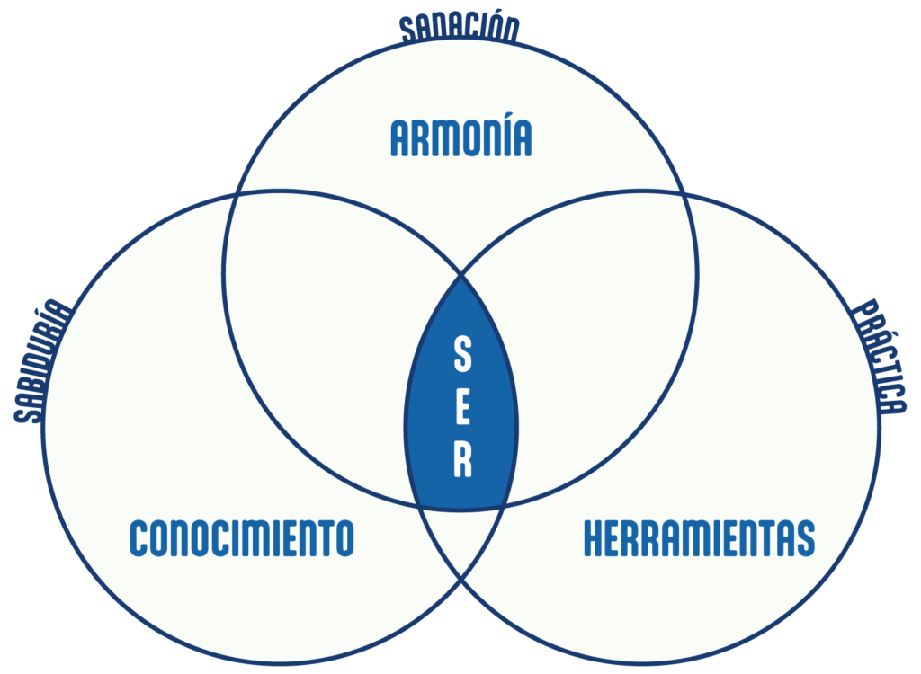 Diagrama de Transformación - Descubre, Integra, Manifiesta