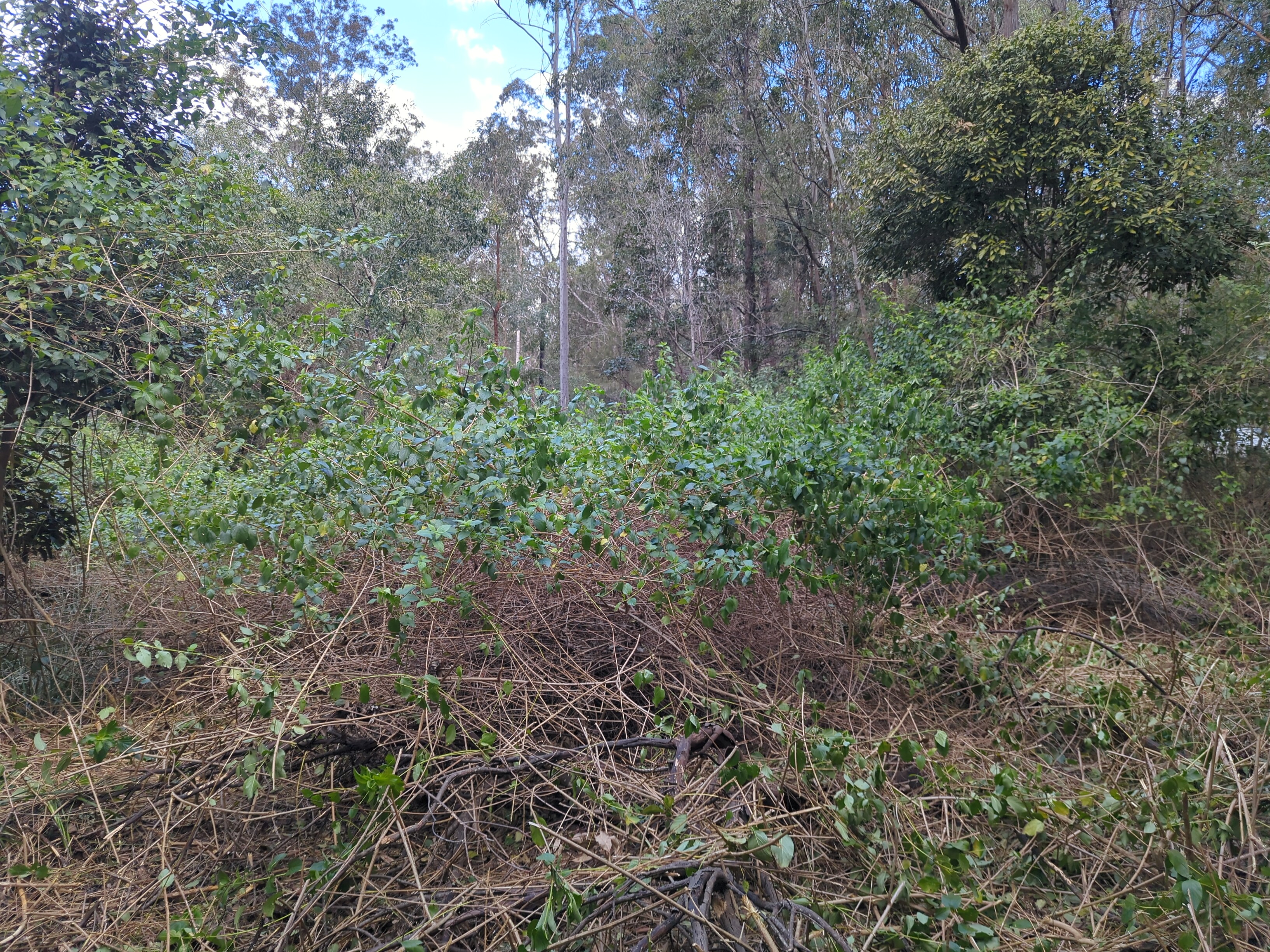 Cossart Road, Rathdowney