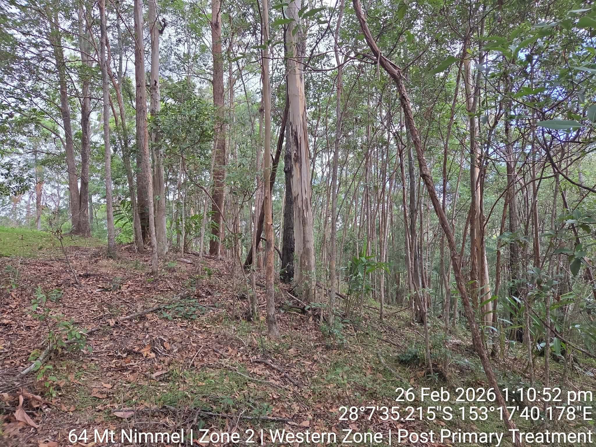 Mt Nimmel Road, Neranwood