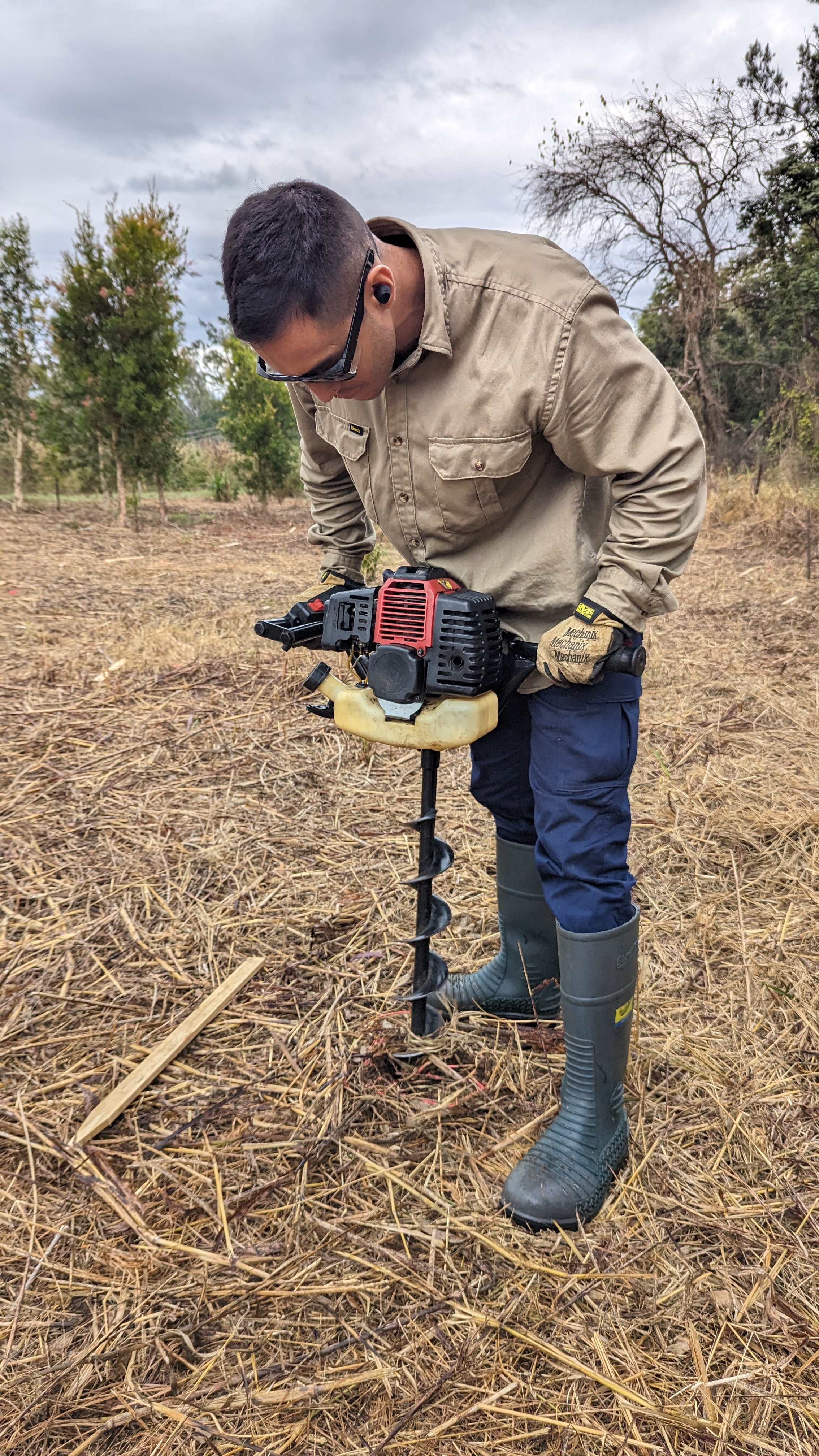 Bush regeneration work