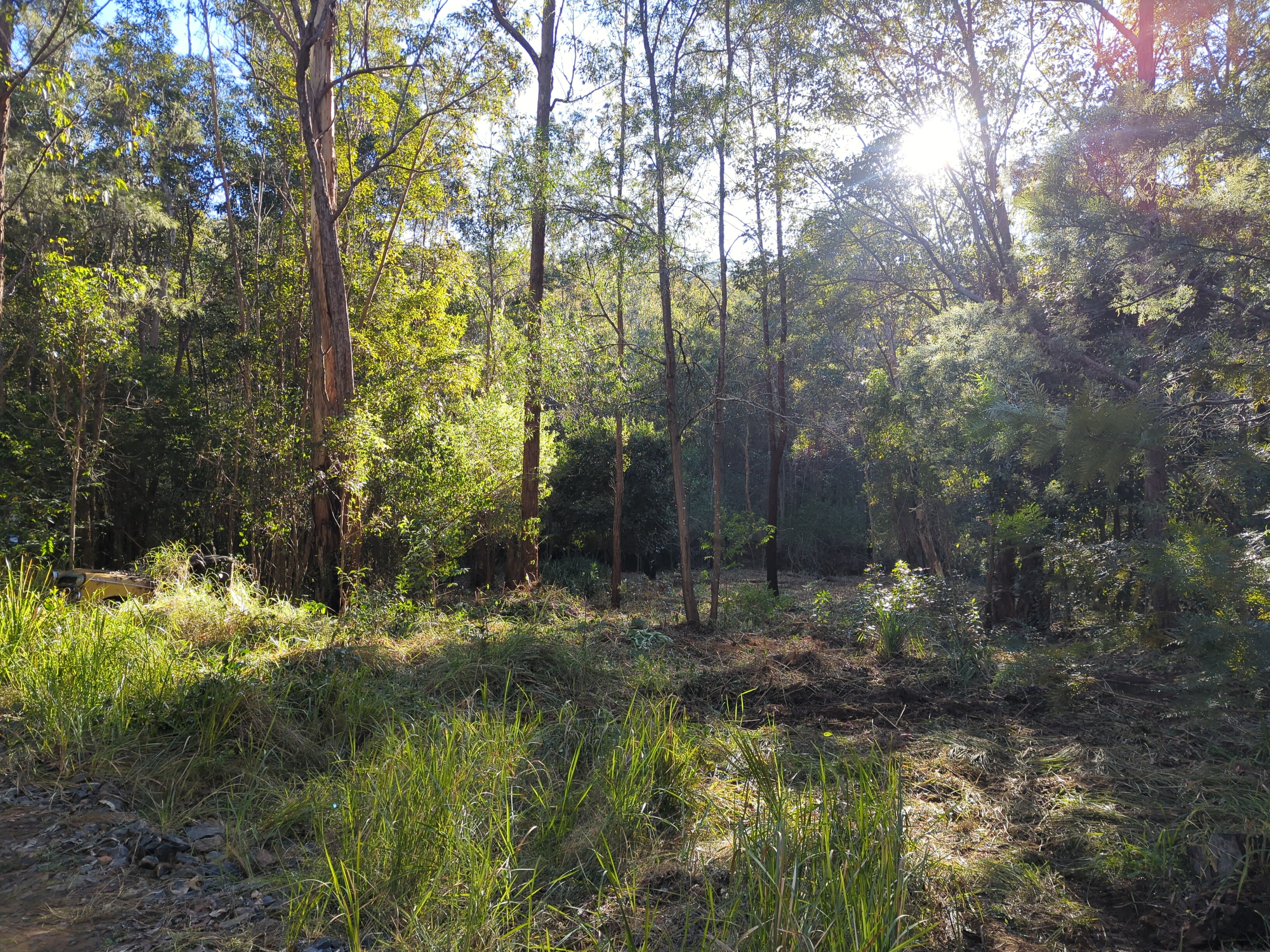 Site overview