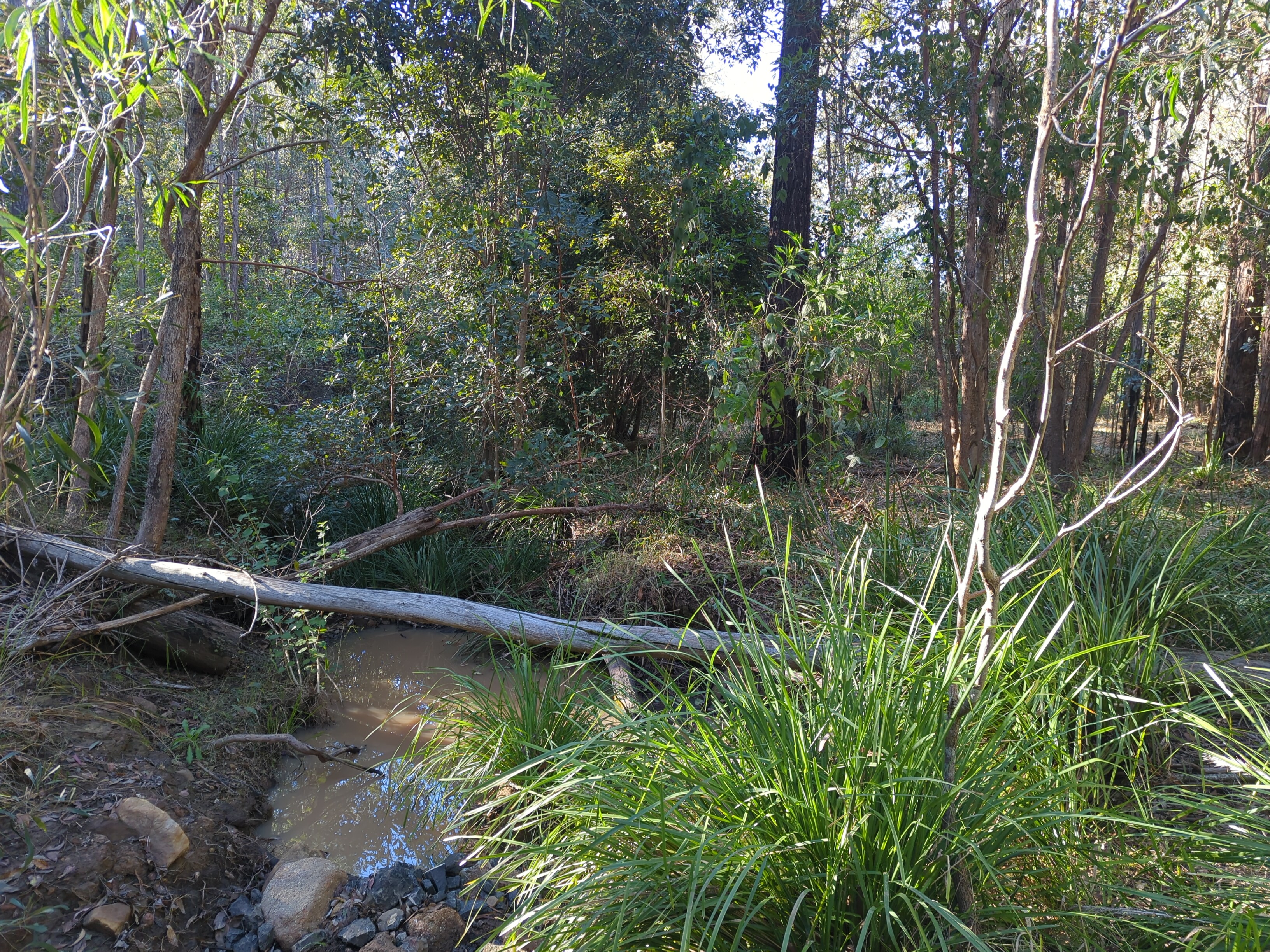 After restoration - third view