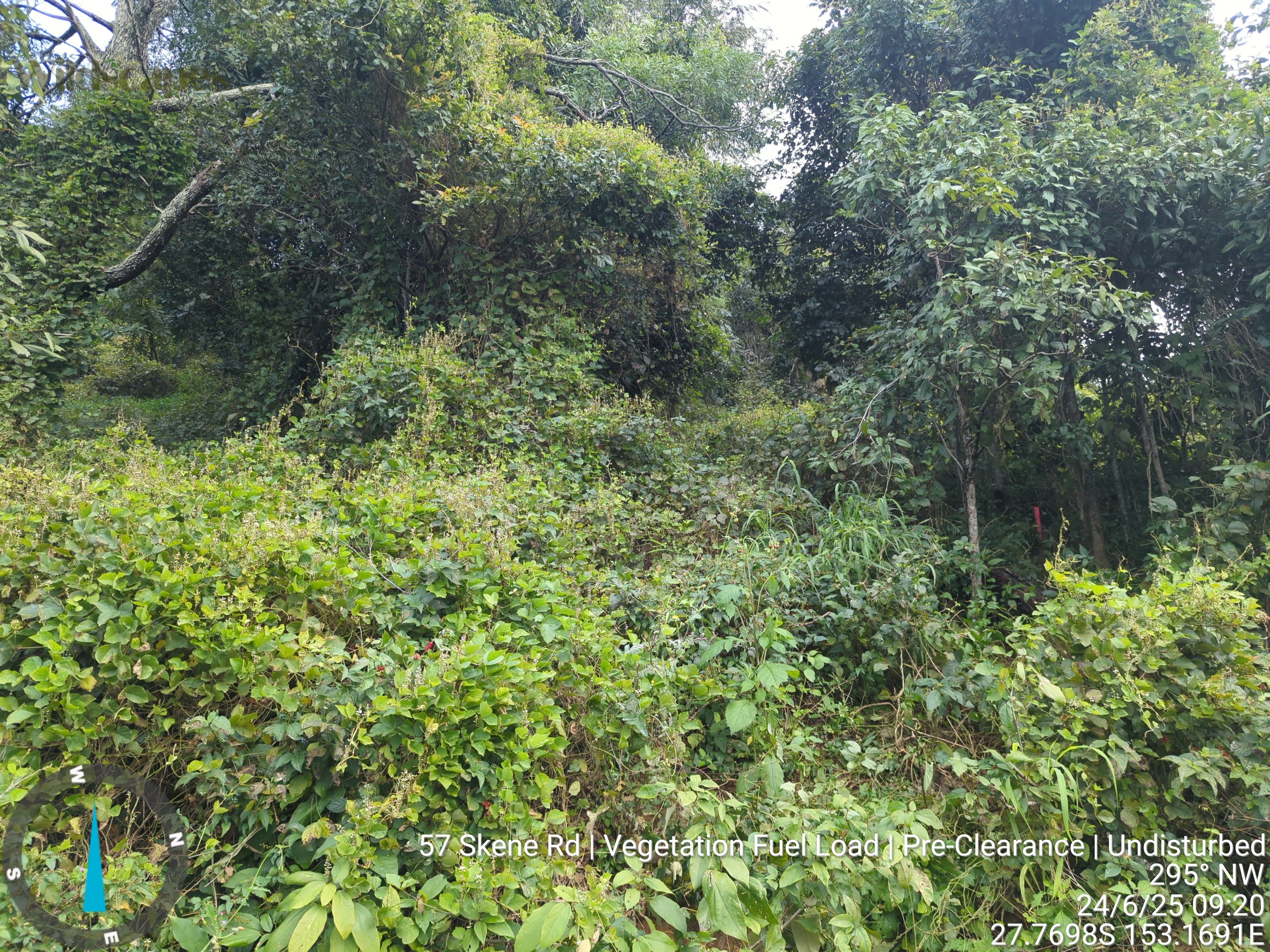 Skene Road, Wolffdene — BAL-29 APZ — Wolffdene, Scenic Rim QLD
