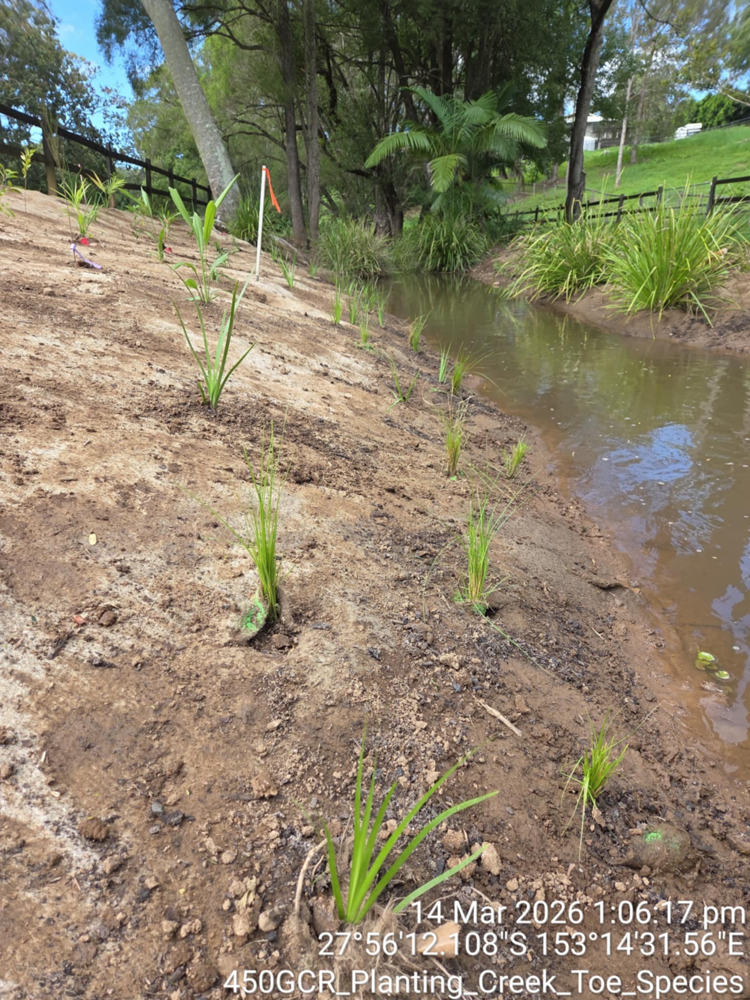 Riparian Rehabilitation — Guanaba Catchment