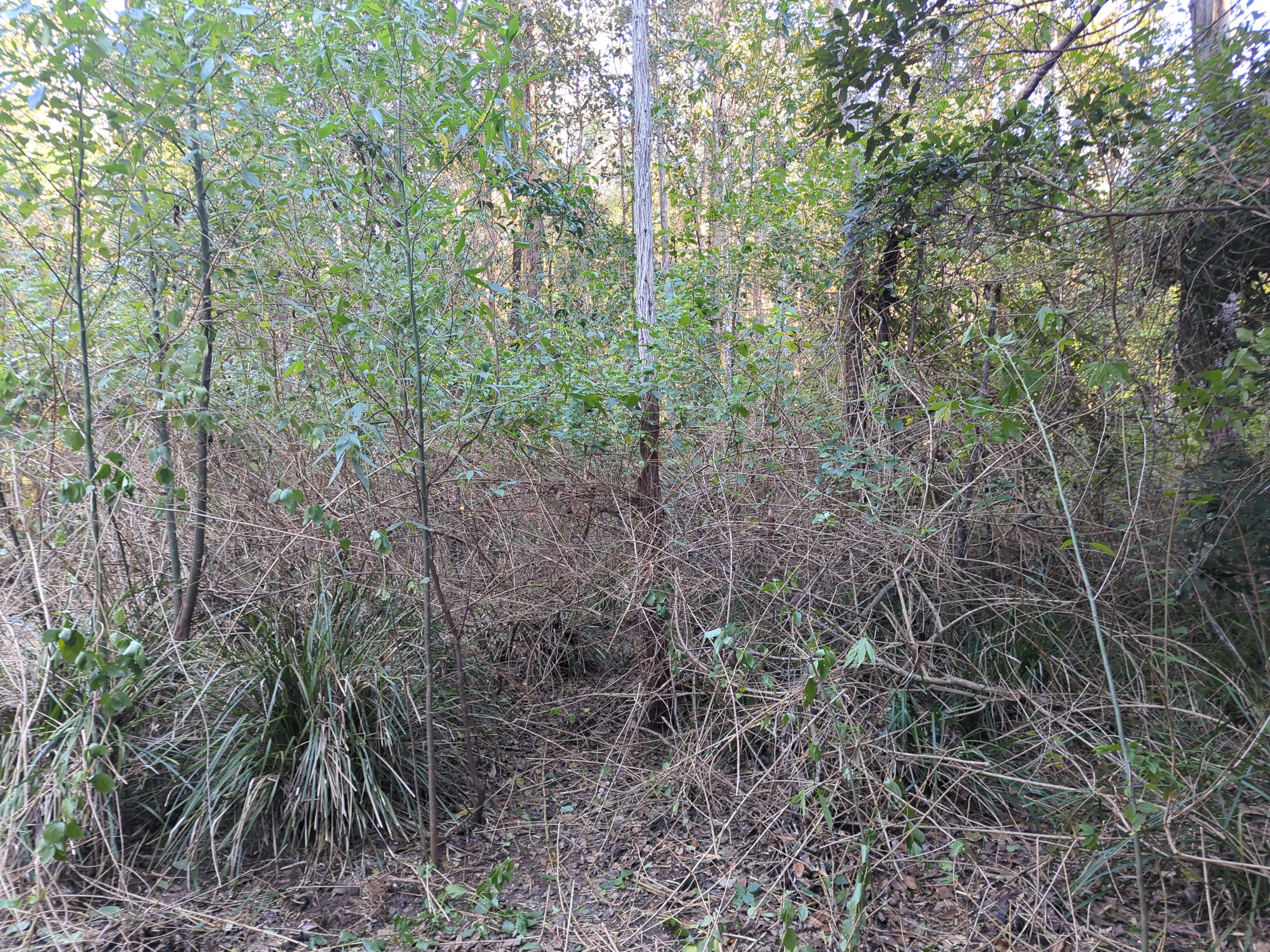 Before restoration - fourth view