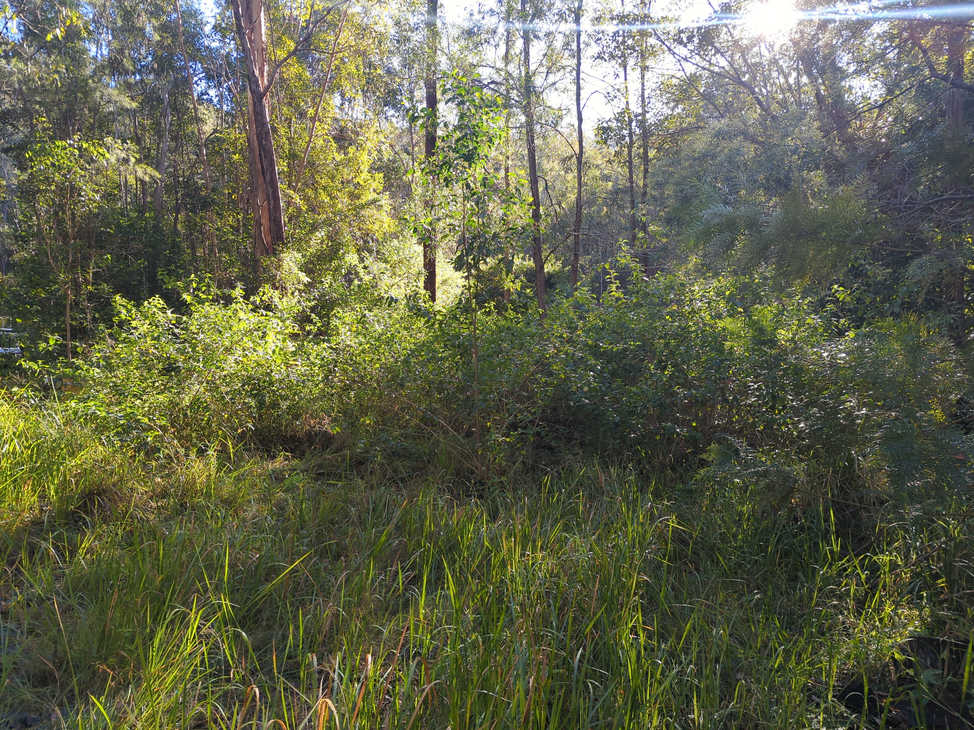 Before restoration - second view