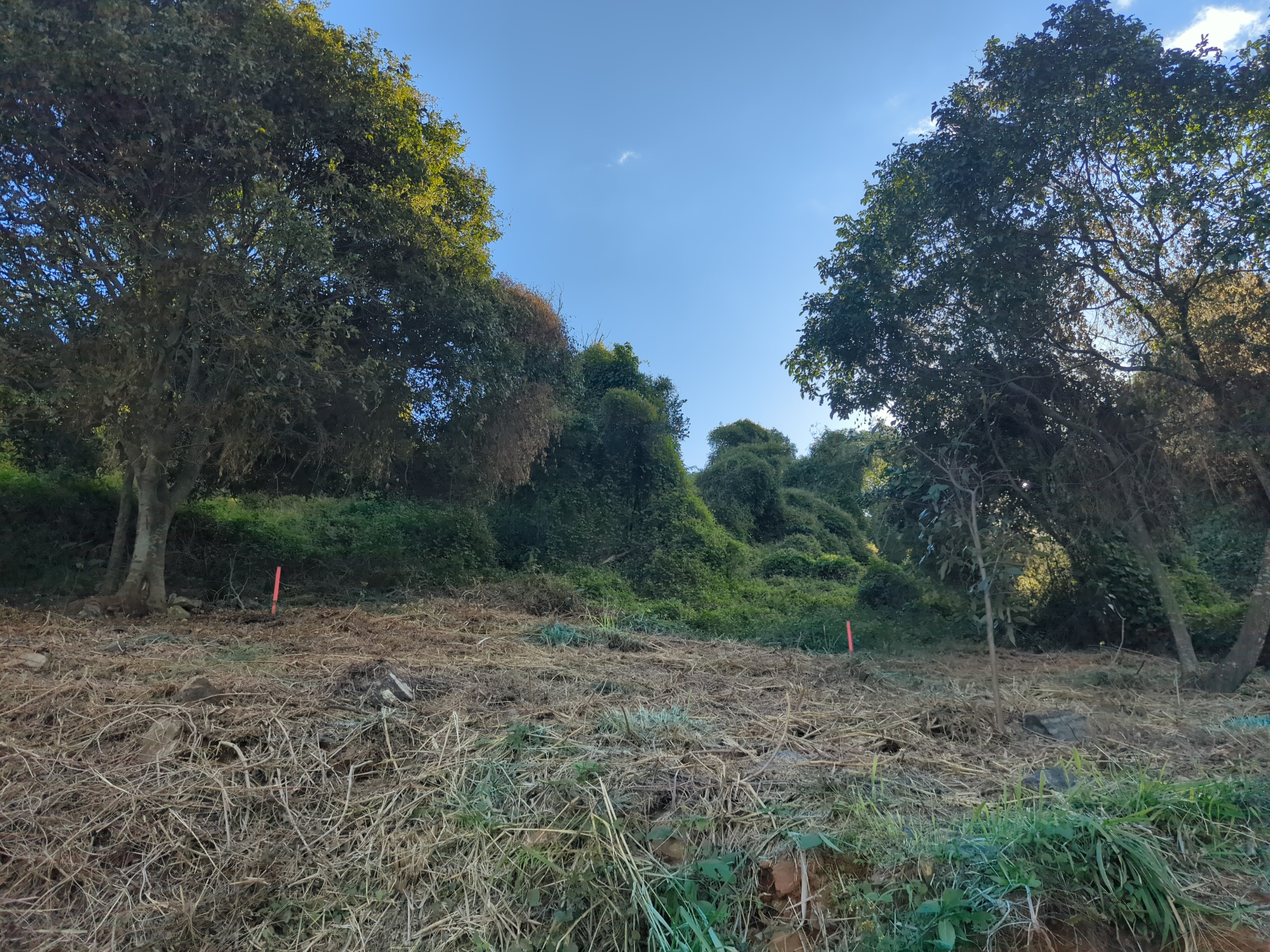 Skene Road, Wolffdene