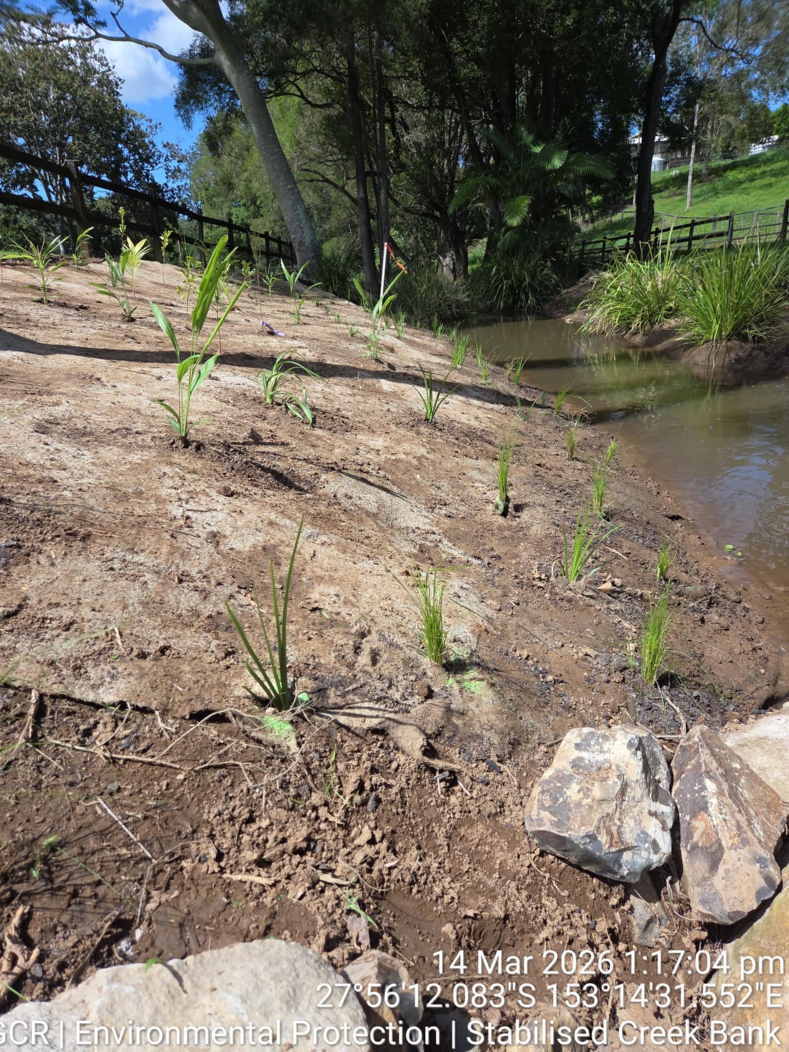 Guanaba Catchment Riparian Rehabilitation — Guanaba, Gold Coast Hinterland QLD