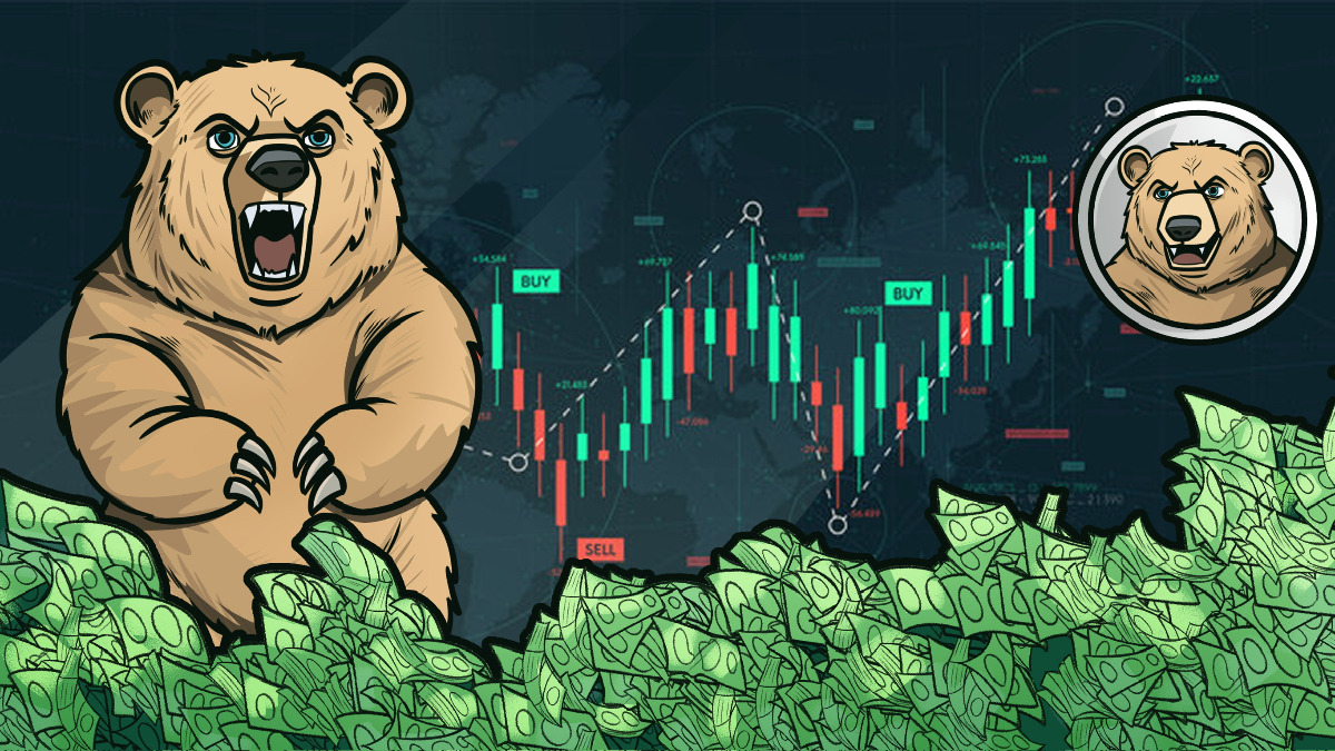 Dark Forest Background