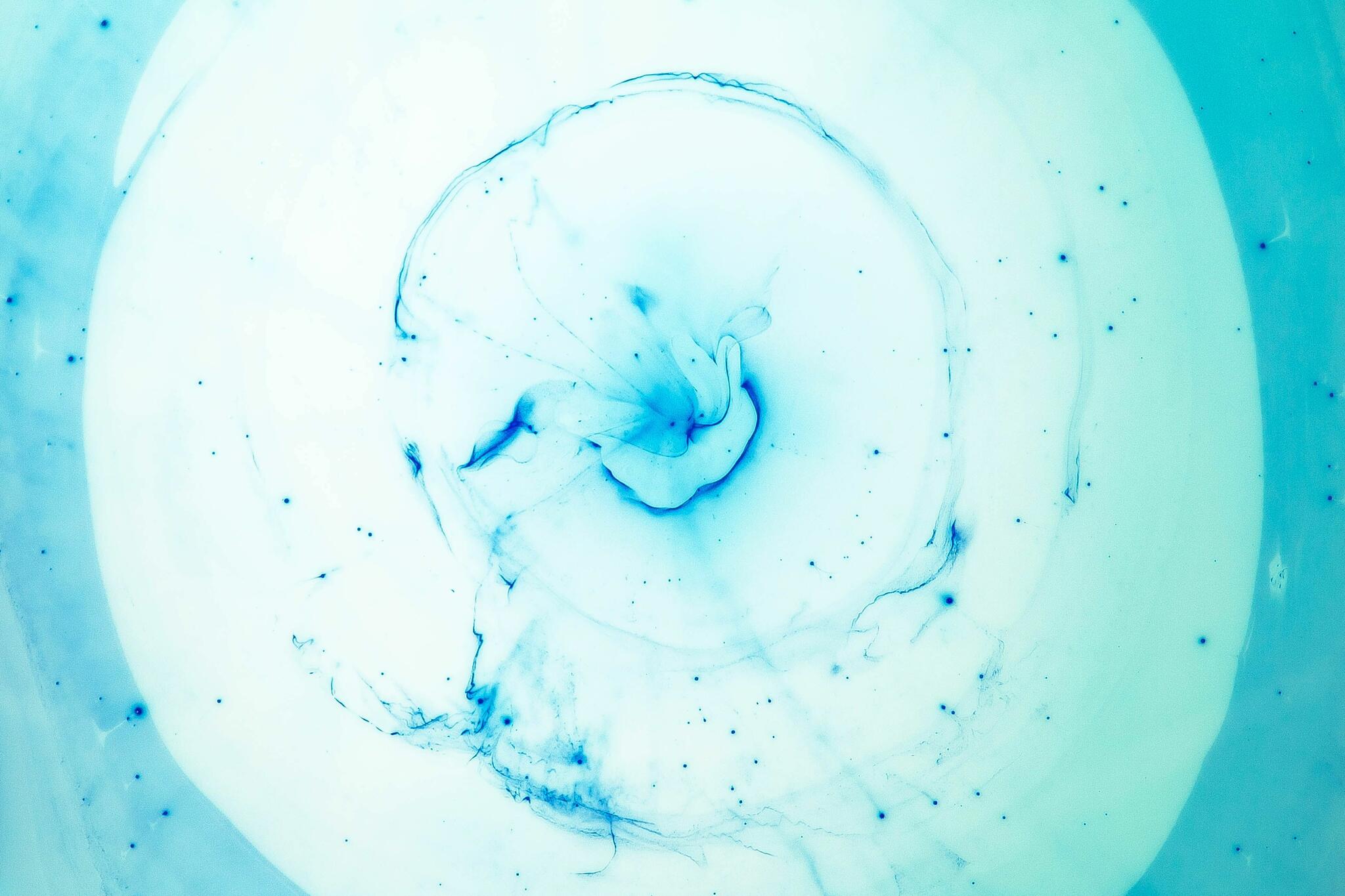 TEXroad White Paper Explains How Circulation of Textiles Could Be Measured in Real Time Globally