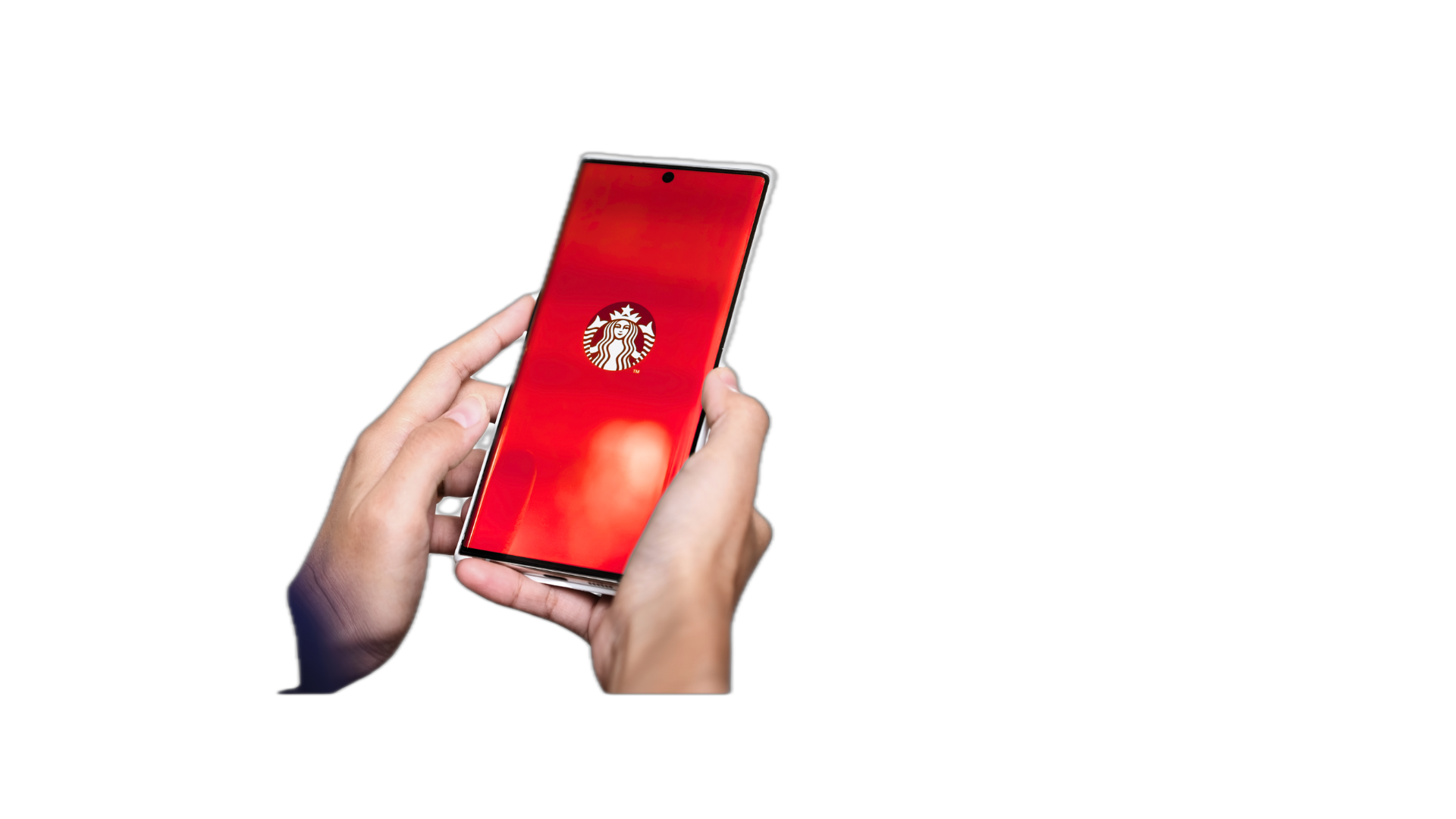 Vega Foelsche Services