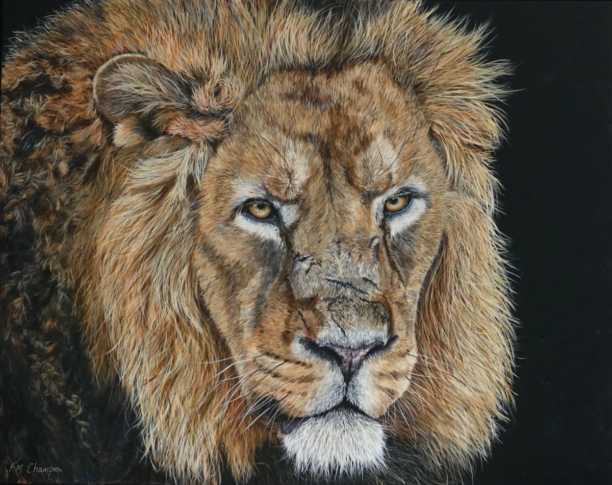 Fiona Champion's artwork