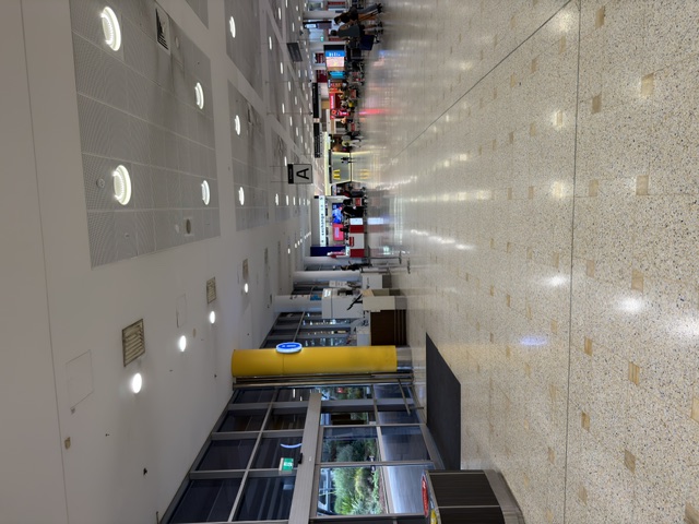 Korean-Speaking Driver — Awaiting at Arrivals