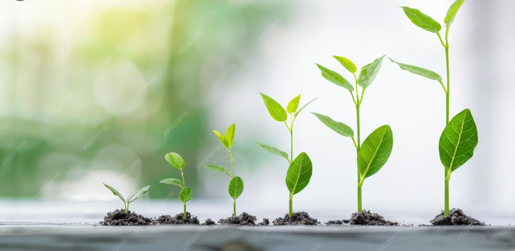 アイデアの成長