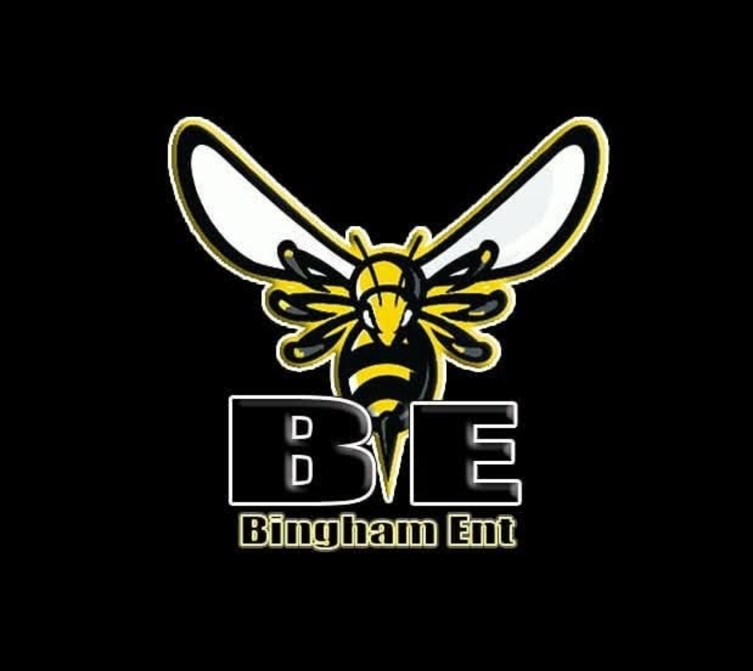 Bingham Ent Logo