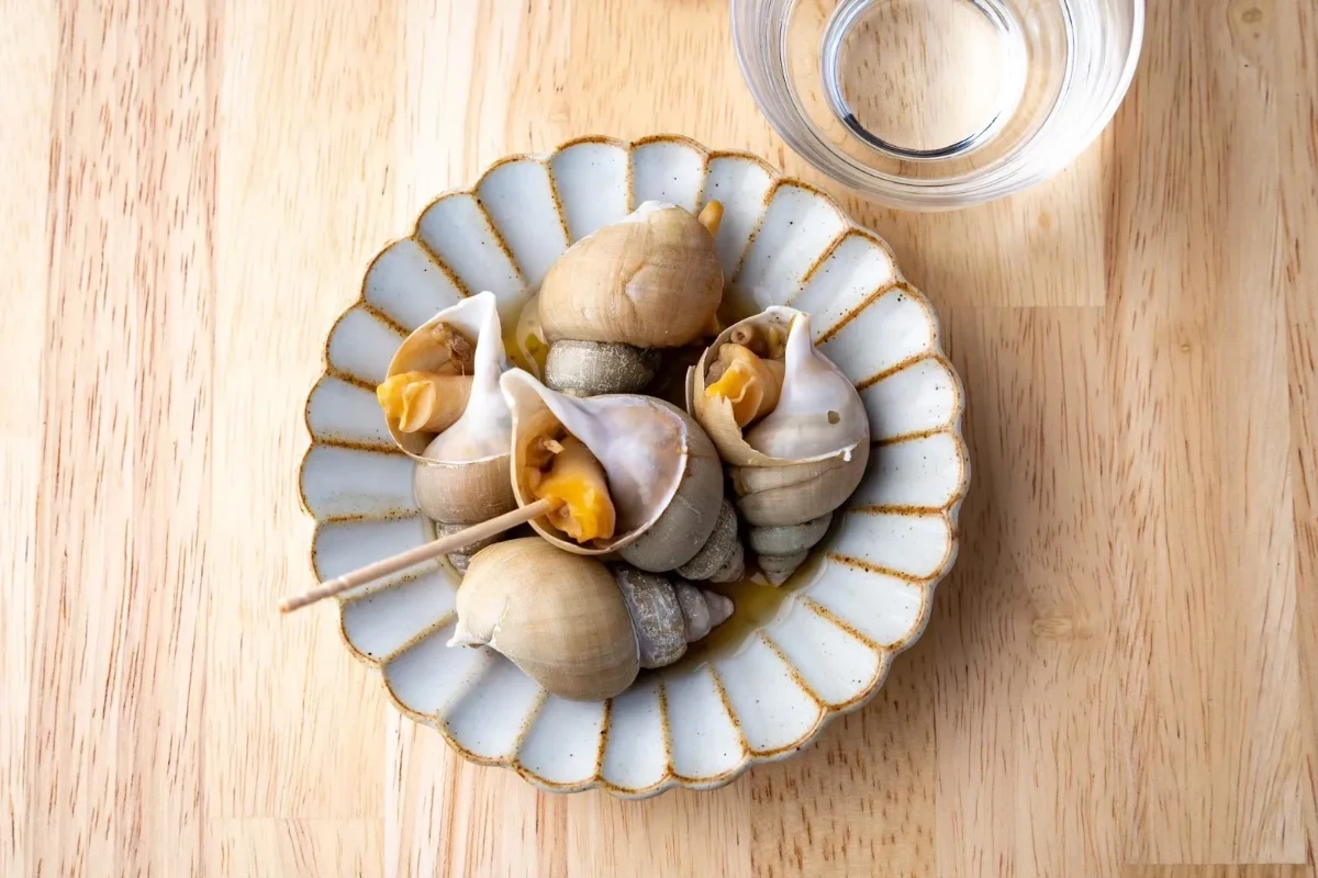 さかなの木 アクセス