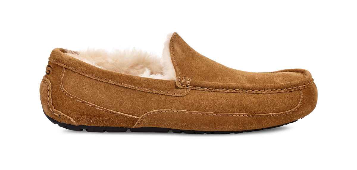 UGG Ascot Slipper Review