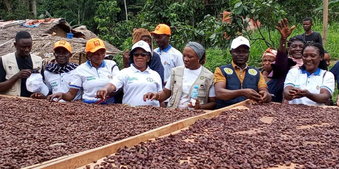 Produits Agricoles - Aurora Group Consulting Produits Agricoles