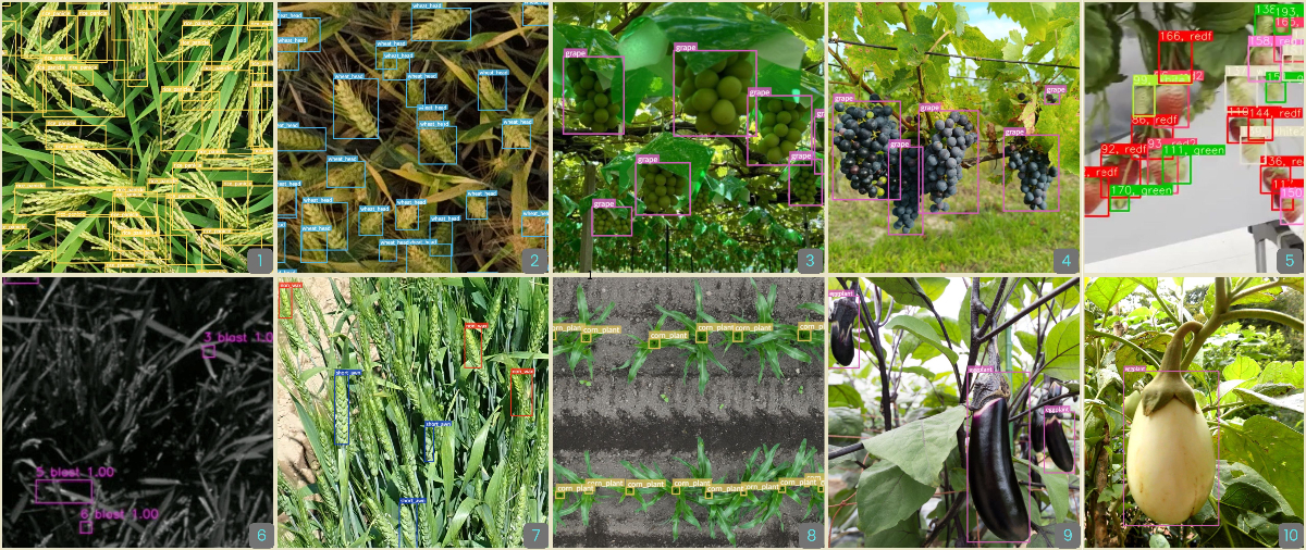 事前学習済みAIモデル - 各種作物の検出・解析例