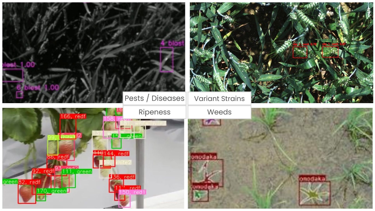 作物画像解析AI