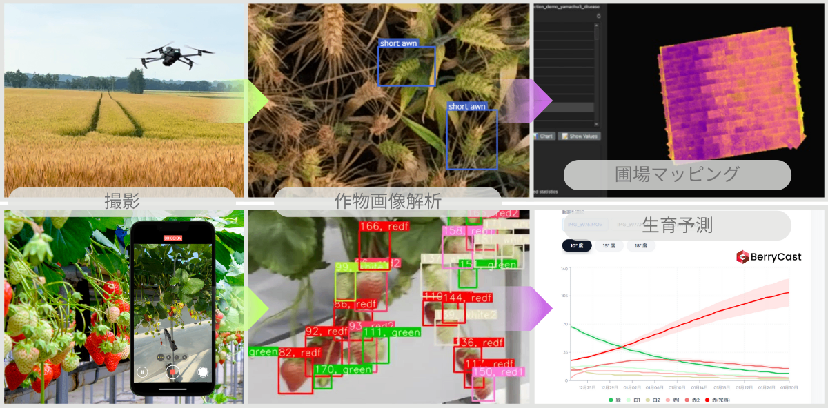 農業AIとドローンセンシング技術 - センシング、画像解析、集約・マッピング、予測のワークフロー
