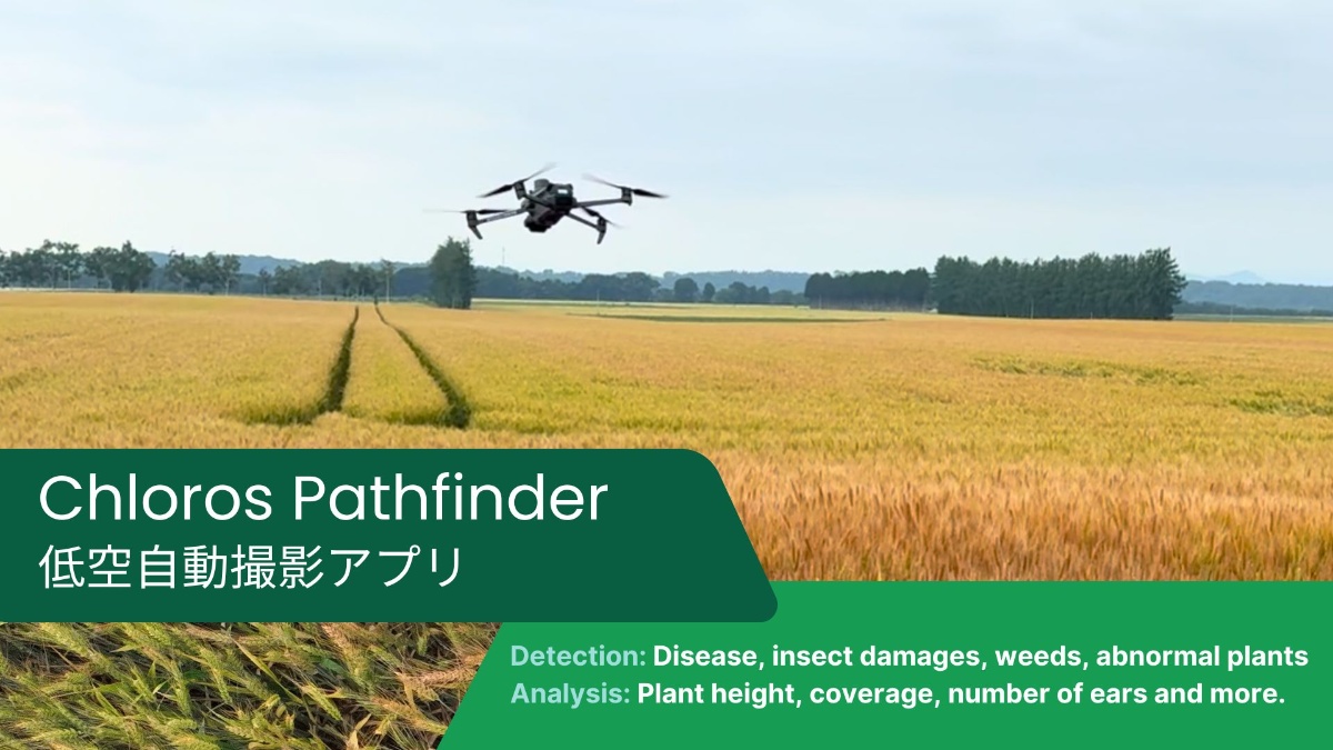 Pathfinder Detection and Analysis
