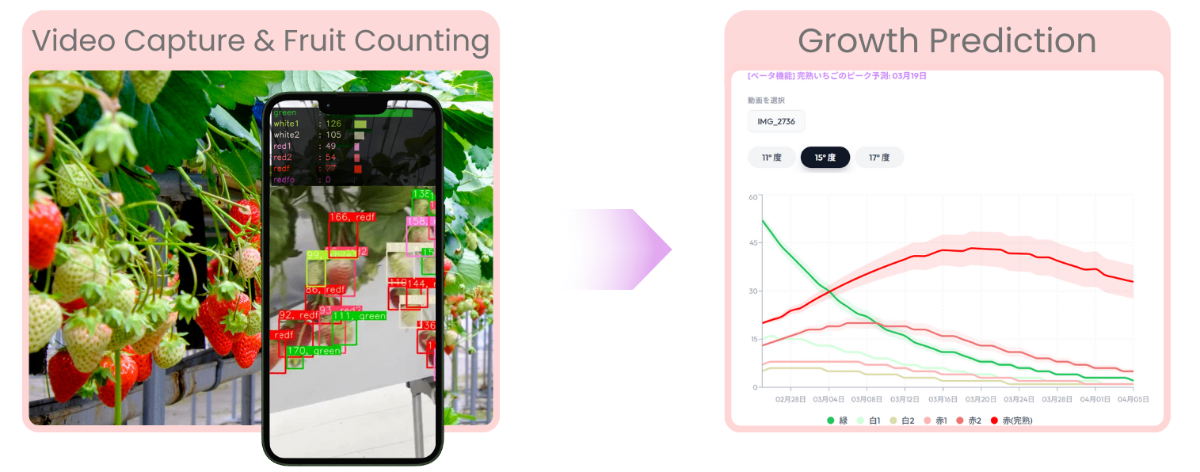 BerryCast - AI-Powered Strawberry Growth Forecasting Service