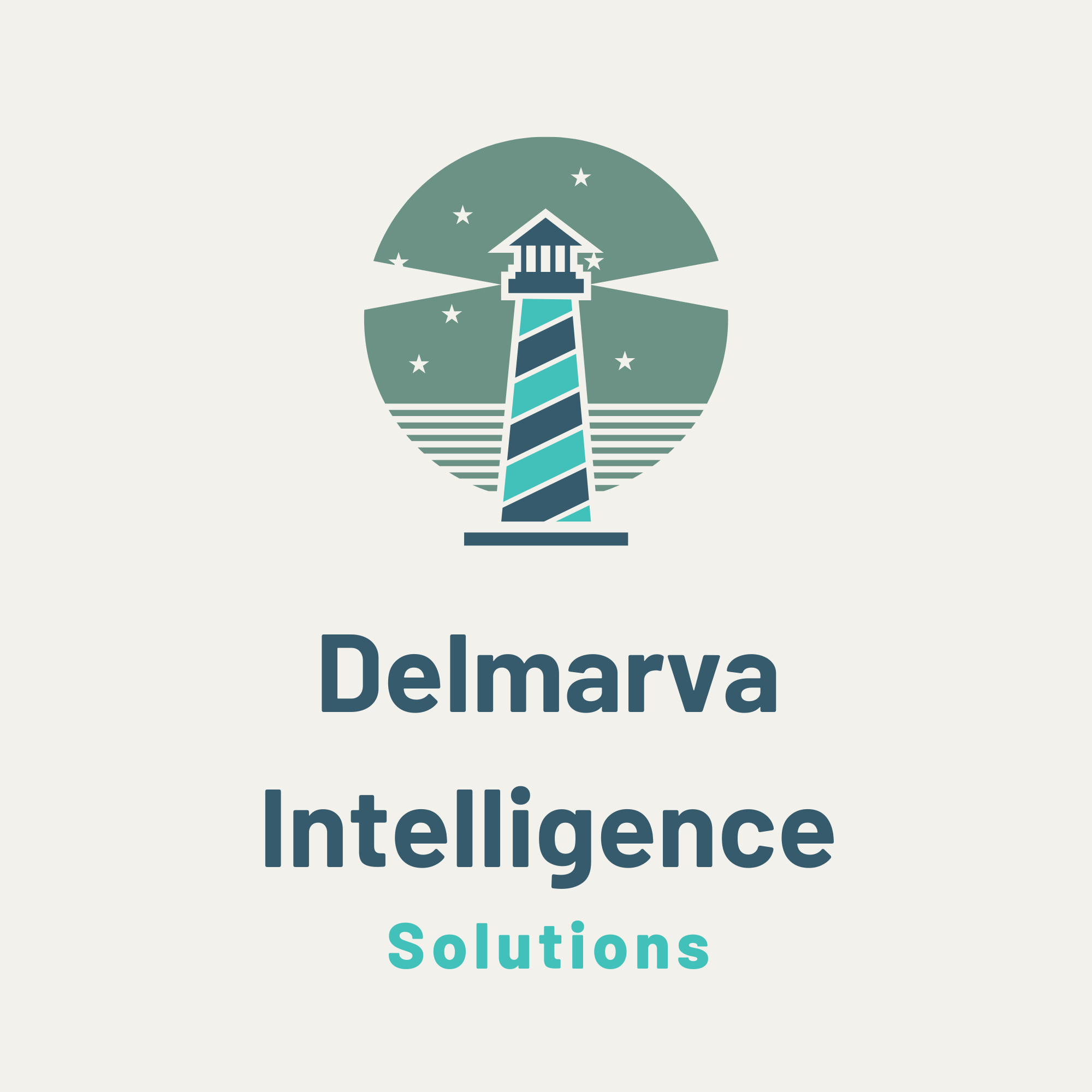 Delmarva Intelligence Solutions Logo