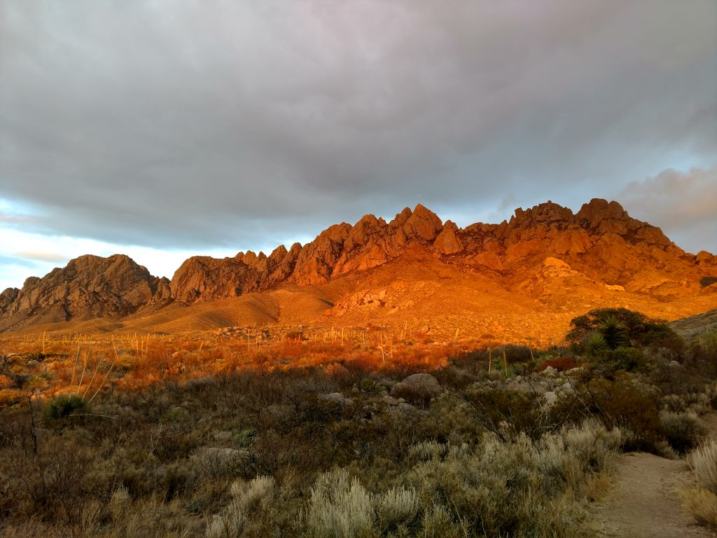 Las Cruces Desert Landscape