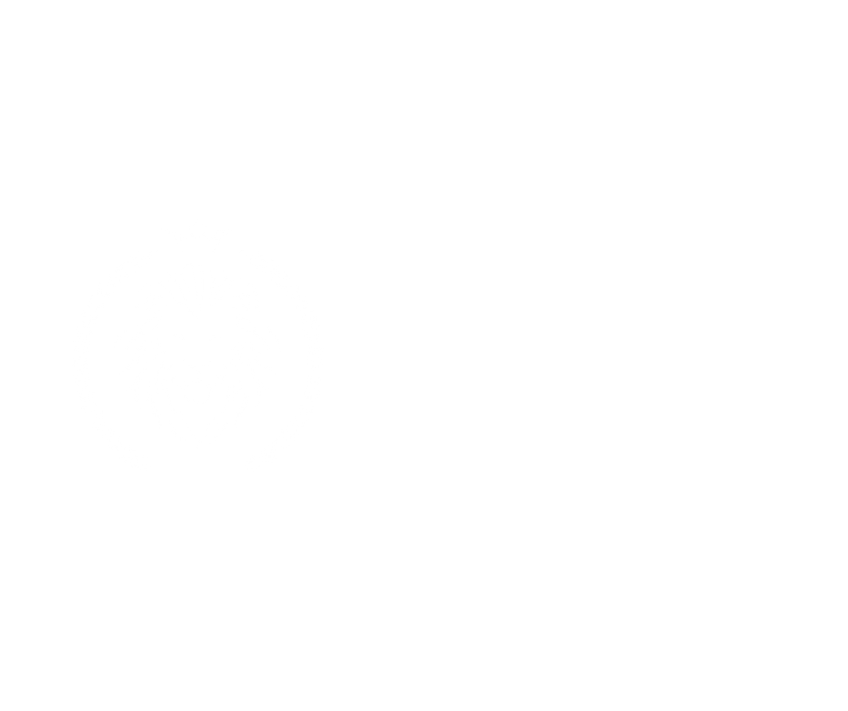 Astergos Logo