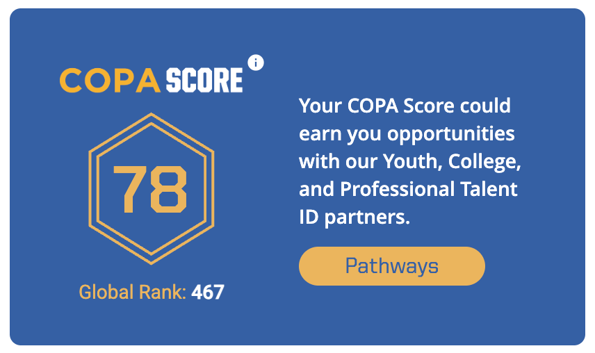COPA Score Card - Score 78, Global Rank 467