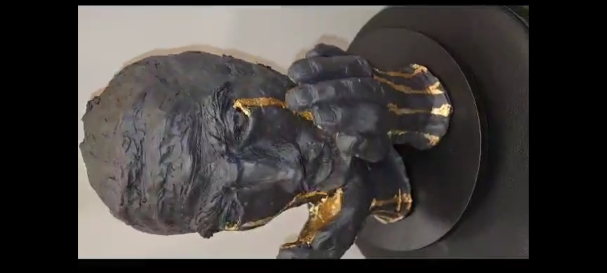 Legacy of Resilience