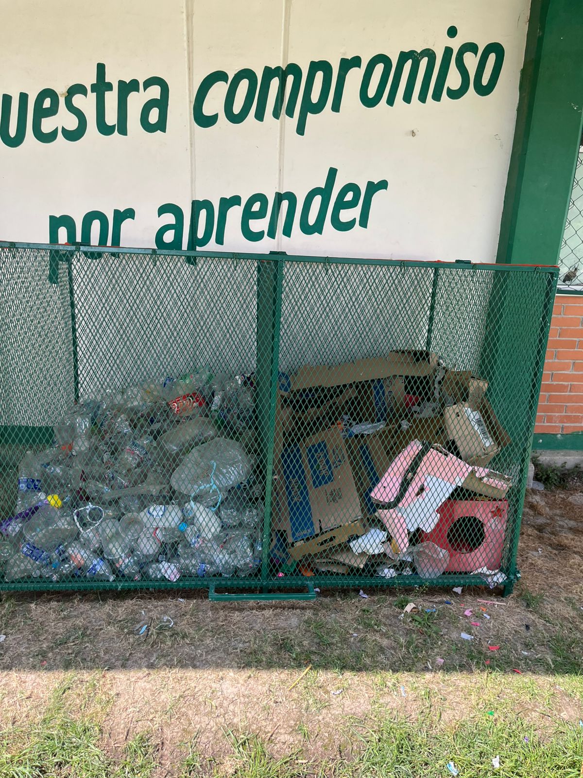Daño ambiental