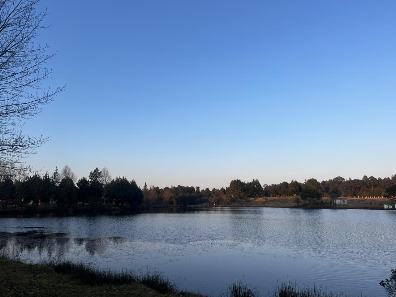 Vegetación y fauna del bosque de Agua Linda Hidalgo